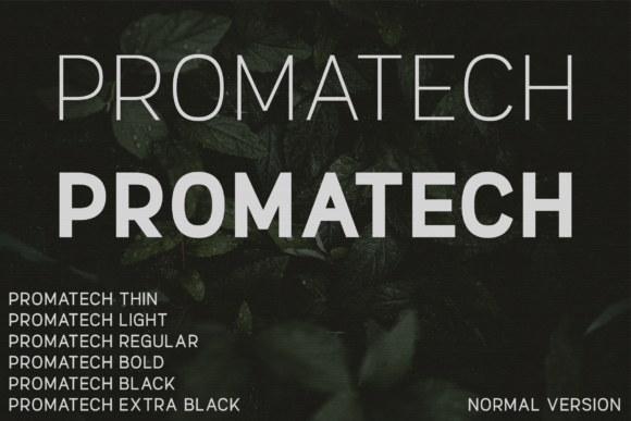 Promatech Font Review: A Minimalist Sans Serif for Campaigns